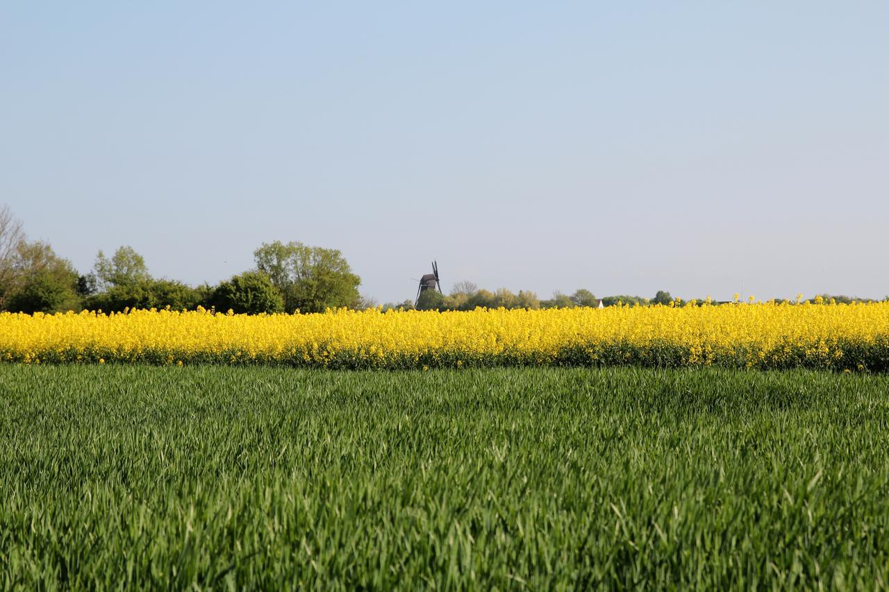 Bellevue Fehmarn